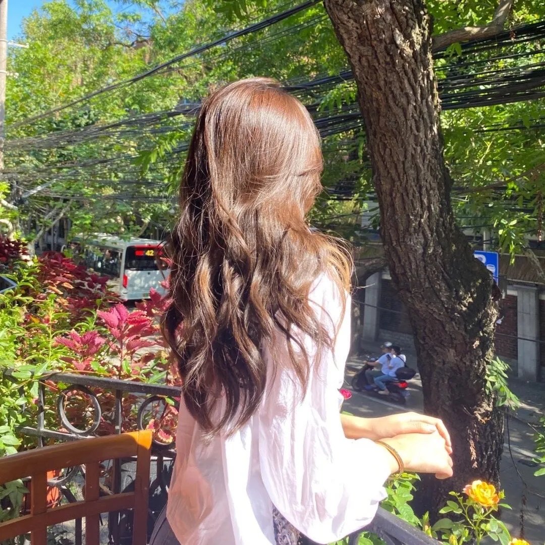 芙蓉花开待君折